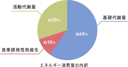 エネルギー消費量の内訳