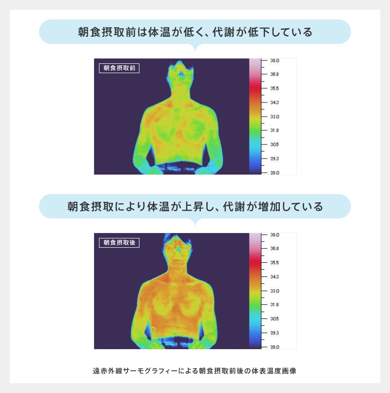 朝食で朝の体のスイッチオン 明治が提案する朝のミルクプロテイン健康法 明治の取組み ミルクプロテインのチカラ 株式会社 明治 朝食で朝の体のスイッチオン 明治が提案する朝のミルクプロテイン健康法 明治の取組み ミルクプロテインのチカラ 株式会社 明治