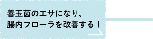 善玉菌のエサになり、腸内フローラを改善する！