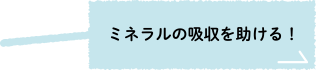 ミネラルの吸収を助ける！