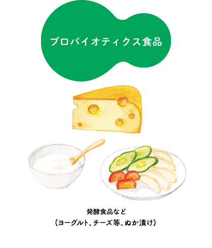 プロバイオティクス食品