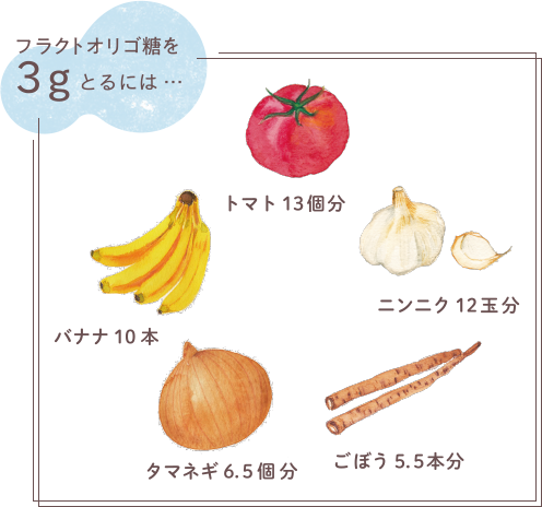 フラクトオリゴ糖を3gとるには…