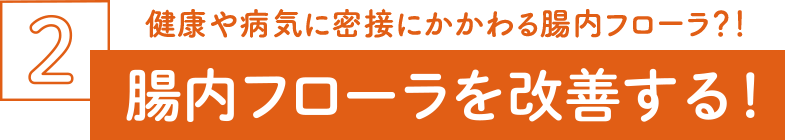 腸内フローラを改善する！