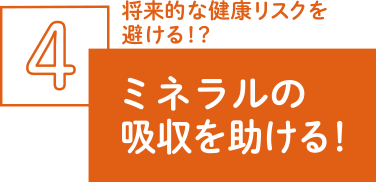 ミネラルの吸収を助ける！