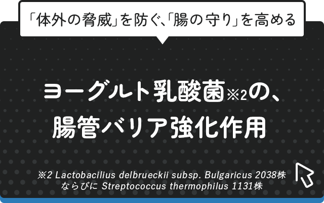 「体外の脅威」を防ぐ、「腸の守り」を高める　ヨーグルト乳酸菌※2の、腸管バリア強化作用※2Lactobacilius delbrueckii subsp. Bulgaricus 2038株ならびに Streptococcus thermophilus 1131株