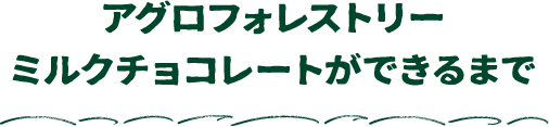 アグロフォレストリーミルクチョコレートができるまで