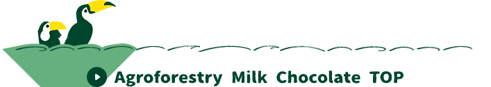 Agroforestry Milk Chocolate TOP