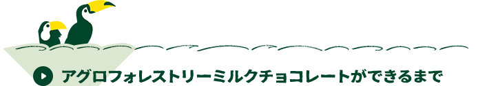 アグロフォレストリーミルクチョコレートができるまで