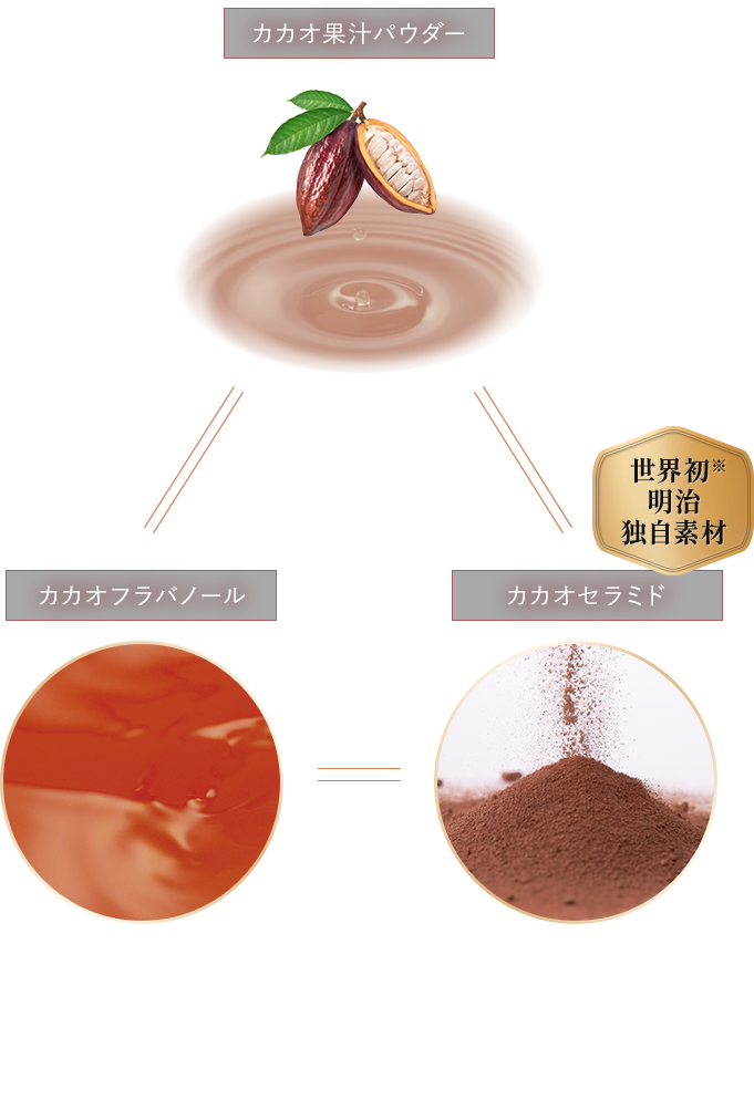 明治独自の美容成分：カカオフラバノール、カカオセラミド