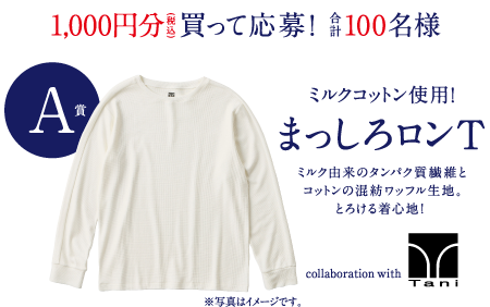 A賞 ミルクコットン使用！ まっしろロンＴ ミルク由来のタンパク質繊維とコットンの混紡ワッフル生地。とろける着心地！ collaboration with Tani