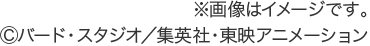 ※画像はイメージです。(c)バード・スタジオ／集英社・東映アニメーション