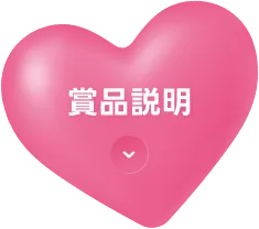商品説明