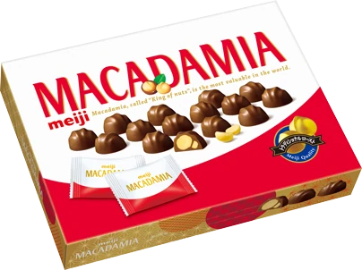 MACADAMIA CHOCOLATE BIG BOX 180g