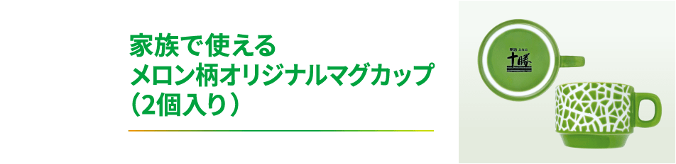 家族で使えるメロン柄オリジナルマグカップ(2個入り)