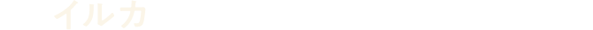 イルカ