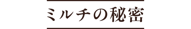 ミルチの秘密