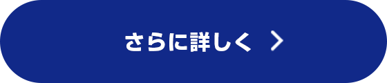 さらに詳しく