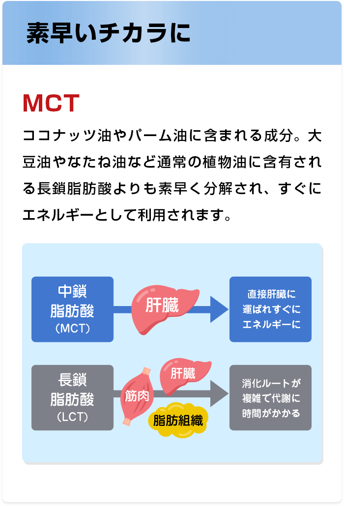 素早いチカラに