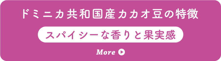 ドミニカ共和国産カカオ豆の特徴 スパイシーな香りと果実感 More