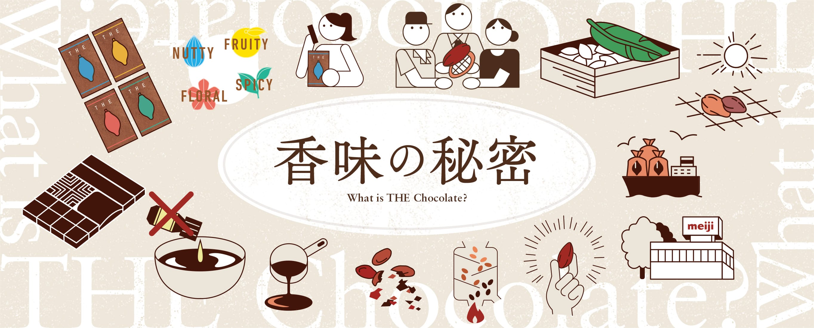 Meiji The Chocolate 明治 ザ チョコレート 株式会社 明治 Meiji Co Ltd