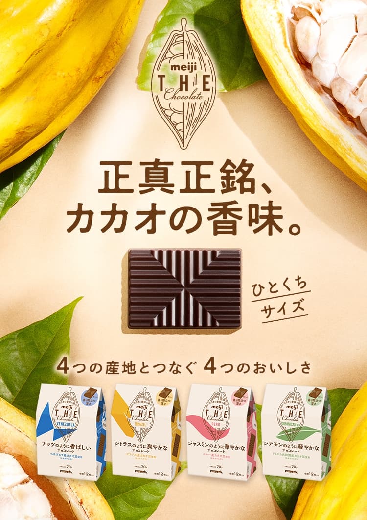 Meiji The Chocolate 明治 ザ チョコレート 株式会社 明治 Meiji Co Ltd