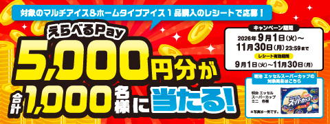 対象のマルチアイス＆ホームタイプアイス1品購入のレシートで応募！えらべるPay5,000円分が合計1,000名様に当たる！