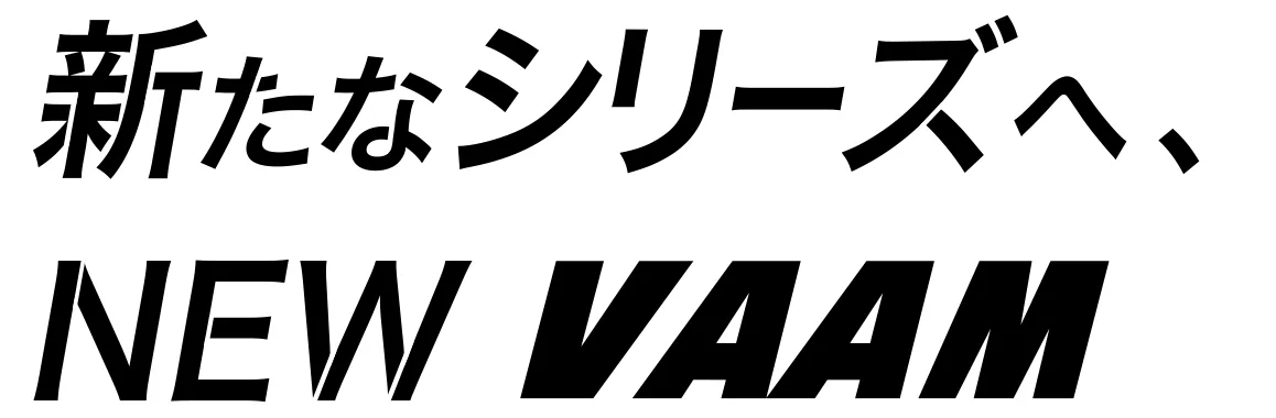 新たなシリーズへ、NEW VAAM