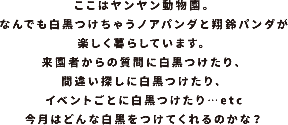 ここはヤンヤン動物園。なんでも白黒つけちゃうノアパンダと翔鈴パンダが楽しく暮らしています。来園者からの質問に白黒つけたり、間違い探しに白黒つけたり、イベントごとに白黒つけたり…etc　今月はどんな白黒をつけてくれるのかな？