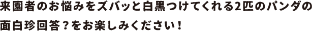 来園者のお悩みをズバッと白黒つけてくれる2匹のパンダの面白珍回答？をお楽しみください！