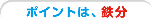 ポイントは、鉄分