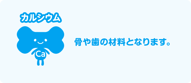 カルシウム 骨や歯の材料となります。