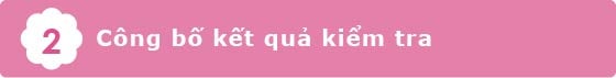 2. Công bố kết quả kiểm tra