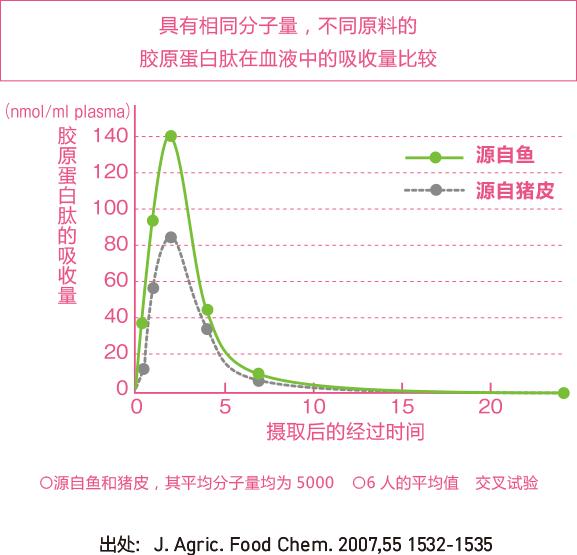 具有相同分子量，不同原料的 胶原蛋白肽在血液中的吸收量比较