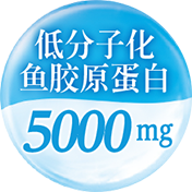 低分子化 鱼胶原蛋白 5000mg