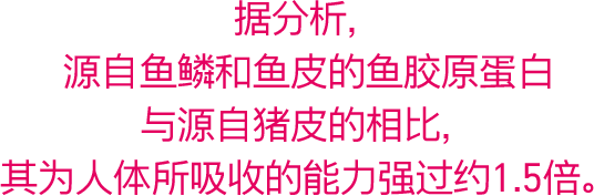 据分析，源自鱼鳞和鱼皮的鱼胶原蛋白 与源自猪皮的相比，其为人体所吸收的能力强过约1.5倍。