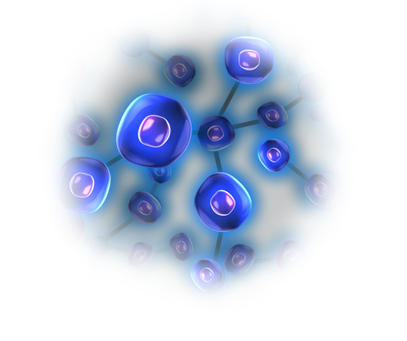 コラーゲンの「接着力」を利用して、次々と細胞をつなぎあわせて 「多細胞生物」が生まれていきました。