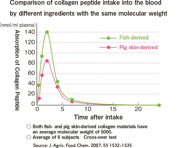 Comparison of collagen peptide intake into the blood by different ingredients with the same molecular weight