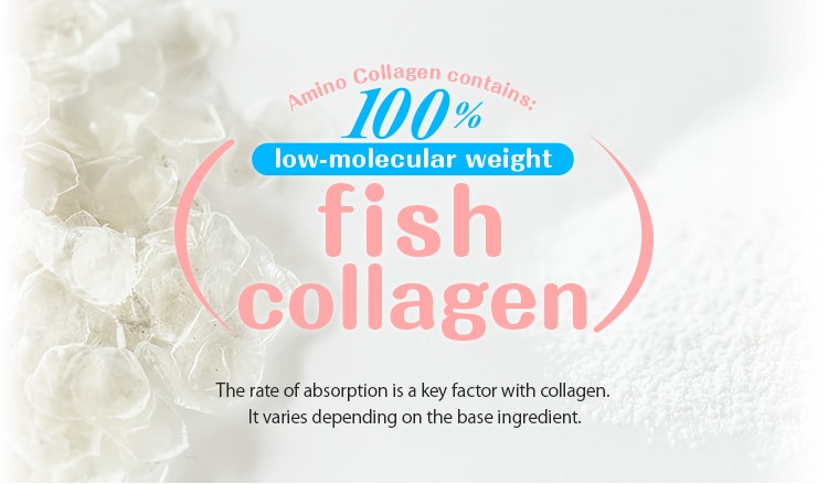 Fish Collagen