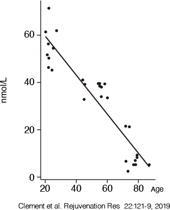 NAD+ concentration in the blood