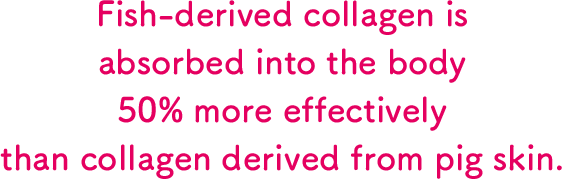 Fish-derived collagen is absorbed into the body 50% more effectively than collagen derived from pig skin.