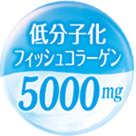 低分子化フィッシュコラーゲン5000mg