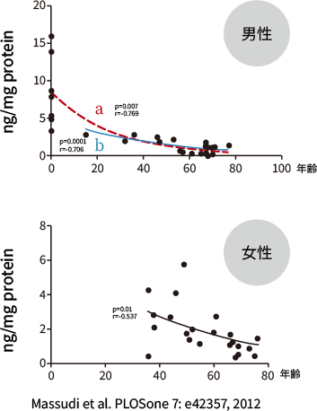 血中NAD+濃度
