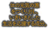 体の元気の源をつくり出し、いきいきとした生活を応援する成分。