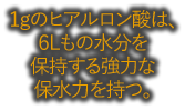 １gのヒアルロン酸は、６Lもの水分を保持する強力な保水力を持つ。