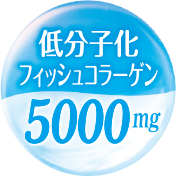 低分子化コラーゲン5000mg