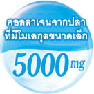 คอลลาเจนจากปลา ที่มีโมเลกุลขนาดเล็ก 5000 mg.