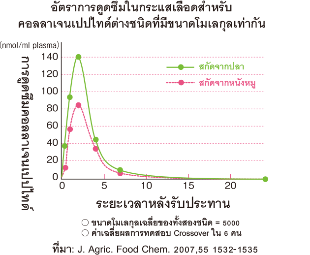 อัตราการดูดซึมในกระแสเลือดสำหรับ คอลลาเจนเปปไทด์ต่างชนิดที่มีขนาดโมเลกุลเท่ากัน