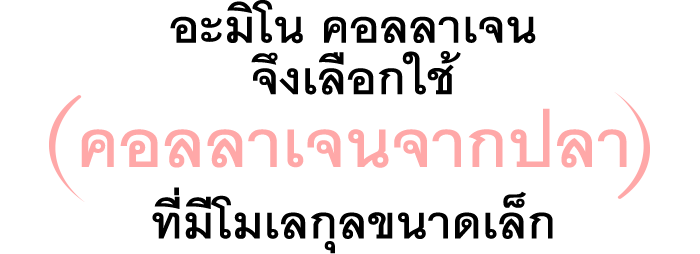 อะมิโน คอลลาเจน จึงเลือกใช้ คอลลาเจนจากปลา ที่มีโมเลกุลขนาดเล็ก