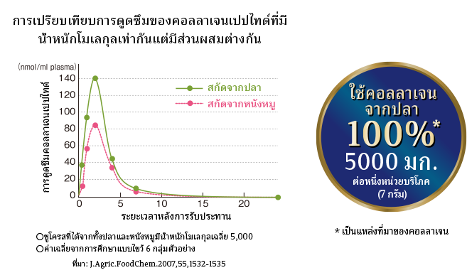 การเปรียบเทียบการดูดซึมของคอลลาเจนเปปไทด์ที่มี ขนาดโมเลกุลเท่ากันแต่มีส่วนผสมต่างกัน