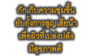 กักเก็บความชุ่มชื้น ยับยั้งการสูญเสียน้ำ เพื่อผิวที่เปล่งปลั่ง มีสุขภาพดี 